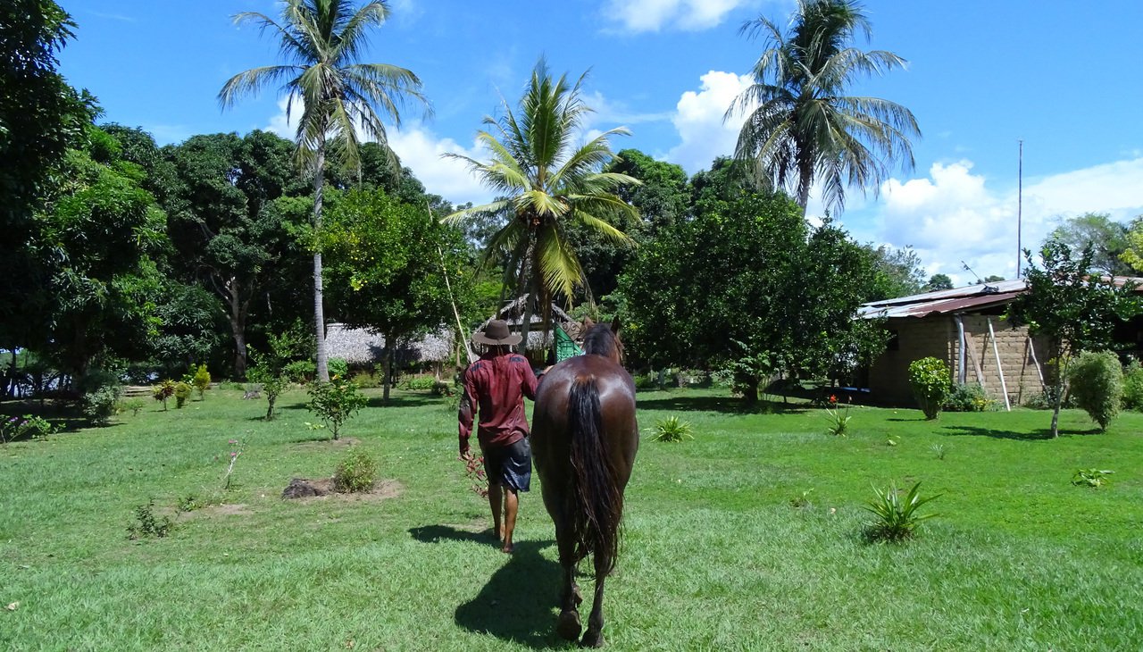 Voyage à la découverte de l'Histoire de la Colombie